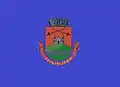 Flag of Ipuiúna