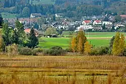 Irgenhausen as seen from Auslikon (April 2010)