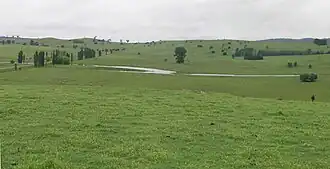 Livestock grazing country, Irish Town, Walcha.