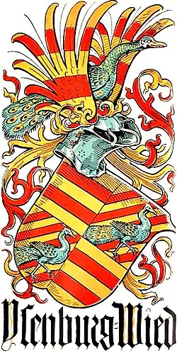 A medieval-style coat of arms with a red-and-gold striped shield, decorated by two teal peacocks and topped with a large, flamboyant peacock-like crest. Flame-like red and gold flourishes surround it, with a bold Gothic name written beneath, giving it a regal, old-world feel.