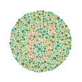 Ishihara Plate No. 11 (6)