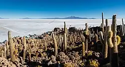 Uyuni salt flats in Bolivia