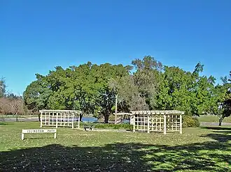 Islington Park, looking towards Throsby Creek