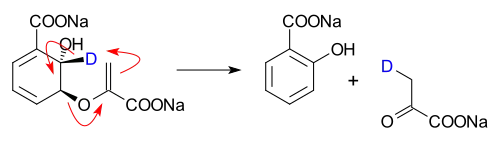 Isochorismate pyruvate lyase converts isochorismate into salicylate and pyruvate