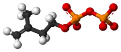 Ball-and-stick model of IPP