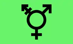 Israeli transgender and genderqueer flag