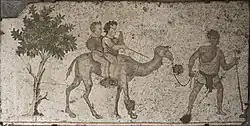 Dromedary ride