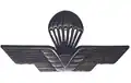 Qualified Parachutist - Italy