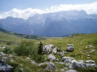 Monte Canin seen from the Montasio Plateau