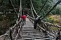 Iya vine bridge