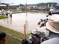 Rice Planting festival