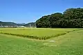 Sacred rice fields