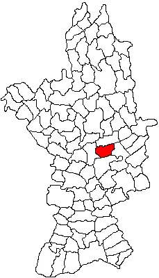 Location in Olt County