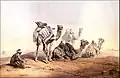 Middle East scene
