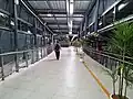 The skybridge at night