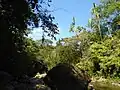 Nature in Jamundí