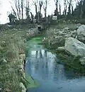 Water feature discovered