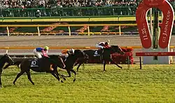 The finish of the 2017 race. The horse Admire Moon is about to pass the finish post, with horses Pop Rock and Meisho Samson close behind. The head of the horse Vodka can also just be seen on the left, with the rest of her out of frame.