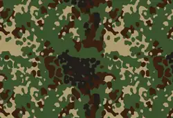 Japanese Jieitai
