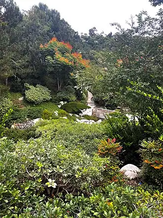 Overlooking view of the Japanese Friendship Garden at Balboa Park, 2024