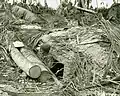 Japanese dugout