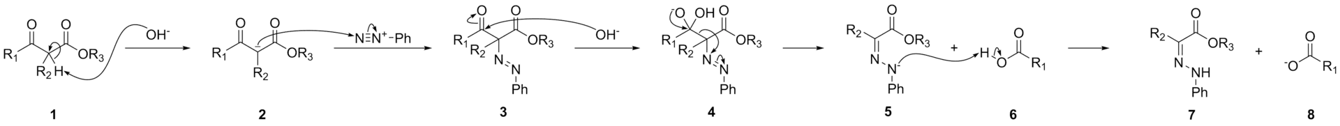 The Japp-Klingemann reaction mechanism