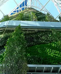 The vertical gardens