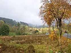 Jarkowice