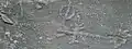 Jeffers Petroglyphs Site