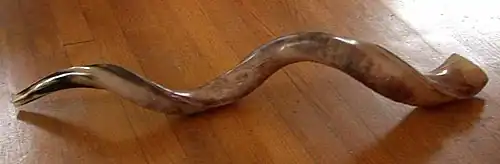Image 2A kudu horn (from Wood Badge)