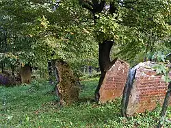Jewish cemetery in Rymanów