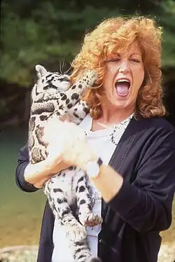 Color photo of woman with red hair laughing and holding clouded leopard cub attempting to climb her hair
