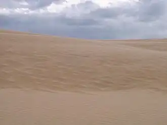 Sand dune