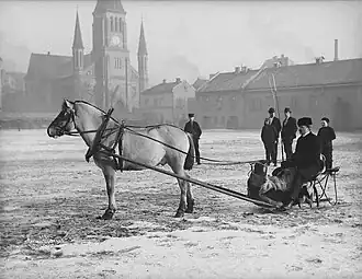 Sleigh in Oslo (1904)
