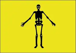 Described by privateer George Shelvocke as "a yellow field and black human skeleton."[65]