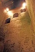 Upper shaft