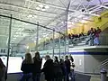 Elevated seating above penalty boxes.