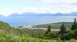 Kachemak and Miller Landing seen from a hilltop