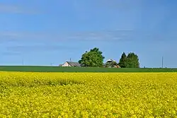 Countryside near Kadapiku