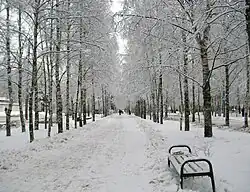 A park built in the middle of Entuziastov Street, Kaduy