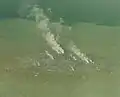 Steaming pumice over the sea surface on 19 March, 1984