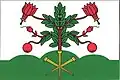 Flag of Kalek
