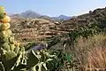 Kampos, Mesaria region