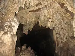 Stalactite inside the Cave