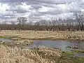 Aukiki Wetland Conservation Area (SR 49 north of Wheatland, Indiana)