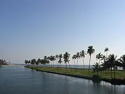 Kappil beach and backwaters in Edava