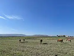 A view of the village's fields
