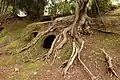Cave-tomb in unrestored state