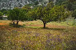 Landscape in Katharo plateau