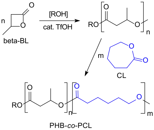 Kationische Copolymerisation von β-BL mit Caprolacton